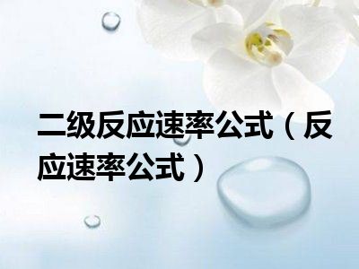 二级反应速率公式（反应速率公式）