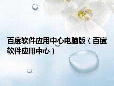 百度软件应用中心电脑版（百度软件应用中心）