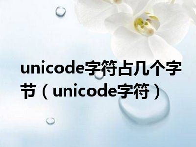 unicode字符占几个字节（unicode字符）