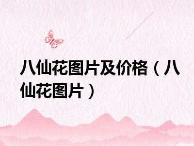 八仙花图片及价格（八仙花图片）