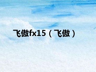 飞傲fx15（飞傲）