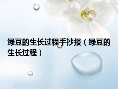 绿豆的生长过程手抄报（绿豆的生长过程）