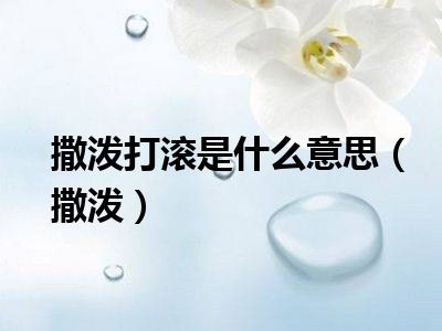 撒泼打滚是什么意思（撒泼）