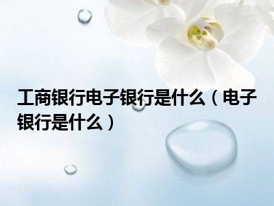 工商银行电子银行是什么（电子银行是什么）