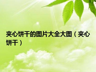 夹心饼干的图片大全大图（夹心饼干）