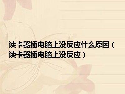 读卡器插电脑上没反应什么原因（读卡器插电脑上没反应）