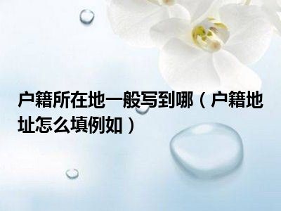 户籍所在地一般写到哪（户籍地址怎么填例如）