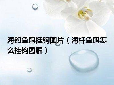海钓鱼饵挂钩图片（海杆鱼饵怎么挂钩图解）
