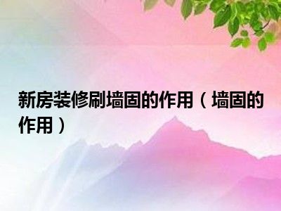 新房装修刷墙固的作用（墙固的作用）
