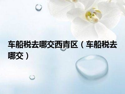 车船税去哪交西青区（车船税去哪交）