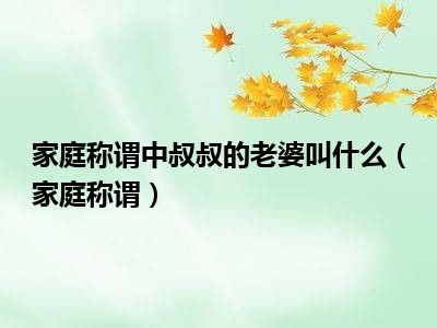 家庭称谓中叔叔的老婆叫什么（家庭称谓）