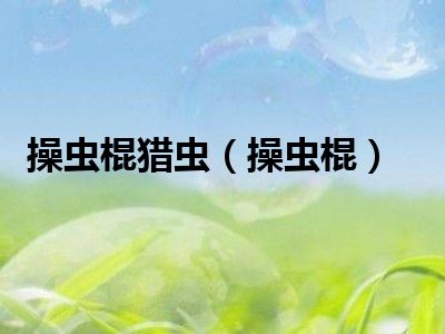 操虫棍猎虫（操虫棍）