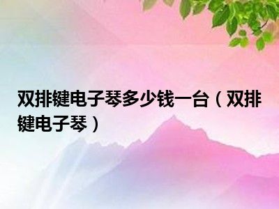 双排键电子琴多少钱一台（双排键电子琴）