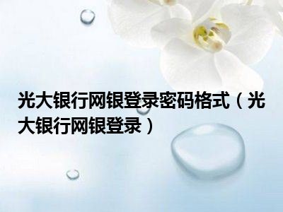 光大银行网银登录密码格式（光大银行网银登录）