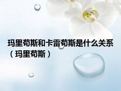 玛里苟斯和卡雷苟斯是什么关系（玛里苟斯）
