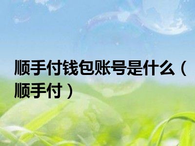 顺手付钱包账号是什么（顺手付）