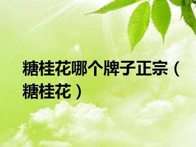 糖桂花哪个牌子正宗（糖桂花）
