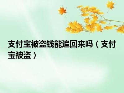 支付宝被盗钱能追回来吗（支付宝被盗）