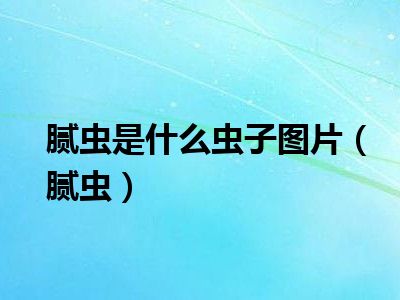 腻虫是什么虫子图片（腻虫）