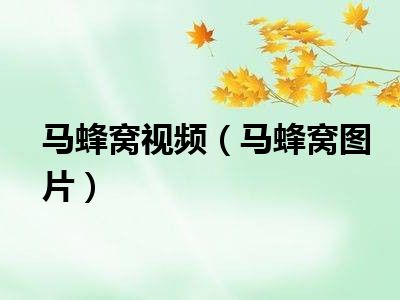 马蜂窝视频（马蜂窝图片）