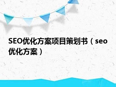 SEO优化方案项目策划书（seo优化方案）