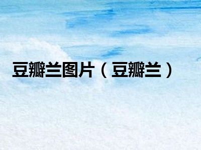 豆瓣兰图片（豆瓣兰）
