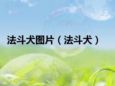 法斗犬图片（法斗犬）