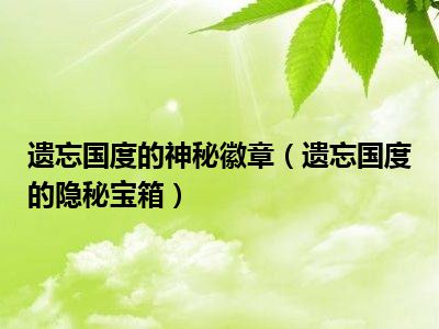 遗忘国度的神秘徽章（遗忘国度的隐秘宝箱）