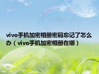 vivo手机加密相册密码忘记了怎么办（vivo手机加密相册在哪）