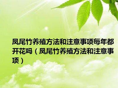 凤尾竹养殖方法和注意事项每年都开花吗（凤尾竹养殖方法和注意事项）