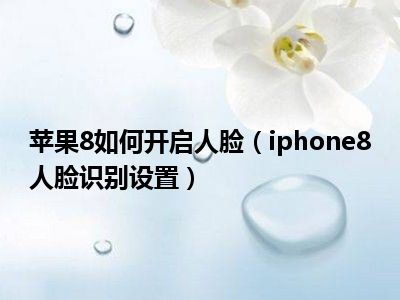 苹果8如何开启人脸（iphone8人脸识别设置）