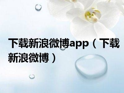 下载新浪微博app（下载新浪微博）