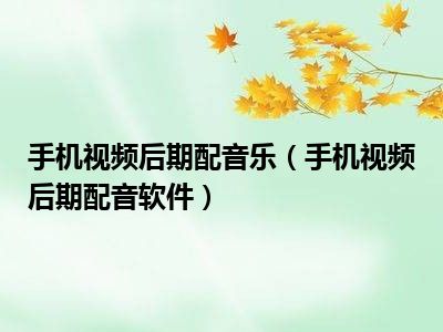 手机视频后期配音乐（手机视频后期配音软件）