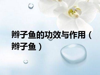 辫子鱼的功效与作用（辫子鱼）