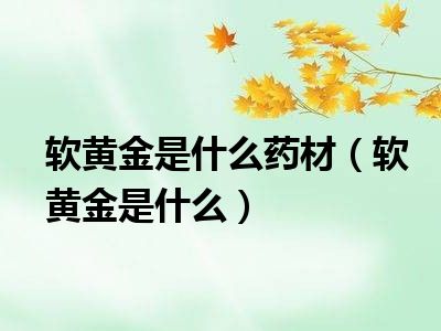 软黄金是什么药材（软黄金是什么）