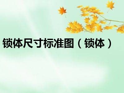 锁体尺寸标准图（锁体）