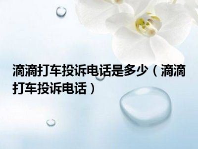 滴滴打车投诉电话是多少（滴滴打车投诉电话）