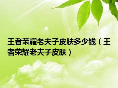 王者荣耀老夫子皮肤多少钱（王者荣耀老夫子皮肤）