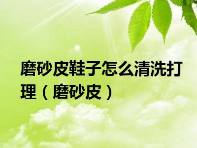 磨砂皮鞋子怎么清洗打理（磨砂皮）