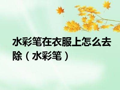 水彩笔在衣服上怎么去除（水彩笔）