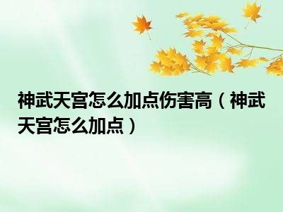 神武天宫怎么加点伤害高（神武天宫怎么加点）