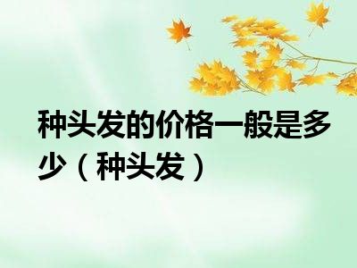 种头发的价格一般是多少（种头发）