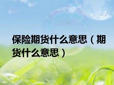 保险期货什么意思（期货什么意思）
