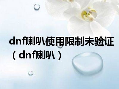 dnf喇叭使用限制未验证（dnf喇叭）