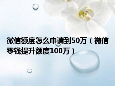 微信额度怎么申请到50万（微信零钱提升额度100万）