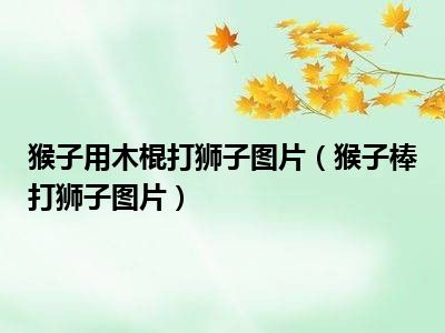 猴子用木棍打狮子图片（猴子棒打狮子图片）