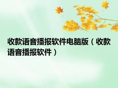收款语音播报软件电脑版（收款语音播报软件）