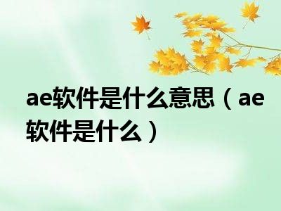 ae软件是什么意思（ae软件是什么）