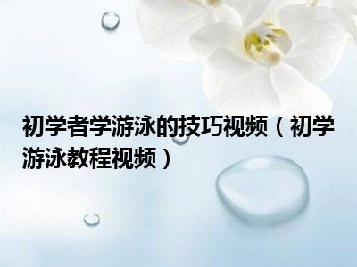 初学者学游泳的技巧视频（初学游泳教程视频）
