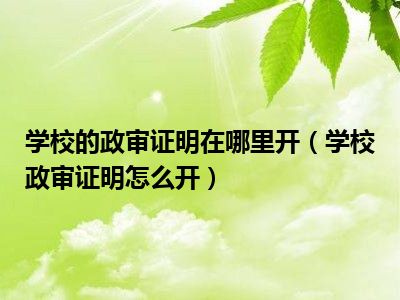 学校的政审证明在哪里开（学校政审证明怎么开）